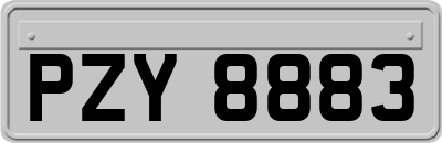 PZY8883