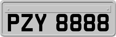 PZY8888