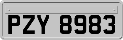 PZY8983