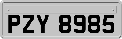 PZY8985