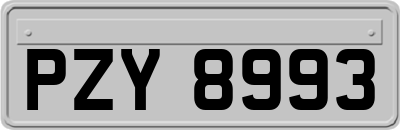 PZY8993