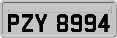 PZY8994