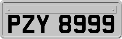 PZY8999