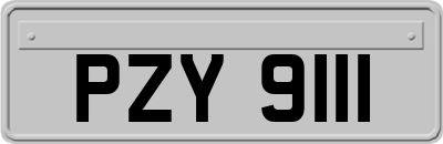 PZY9111