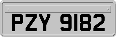 PZY9182