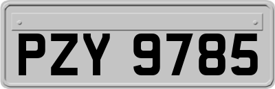 PZY9785