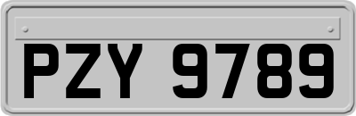 PZY9789