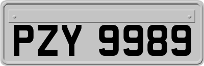 PZY9989