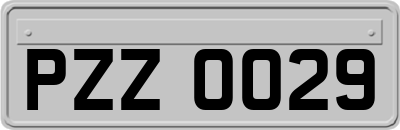 PZZ0029