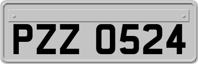 PZZ0524