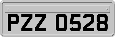 PZZ0528