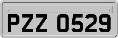 PZZ0529