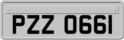 PZZ0661