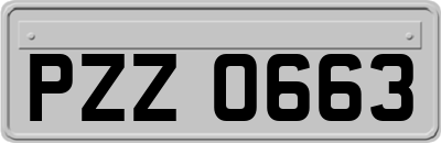 PZZ0663