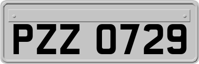PZZ0729