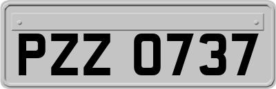 PZZ0737