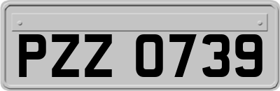 PZZ0739