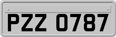 PZZ0787