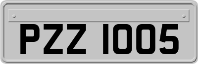 PZZ1005