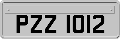 PZZ1012
