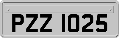 PZZ1025