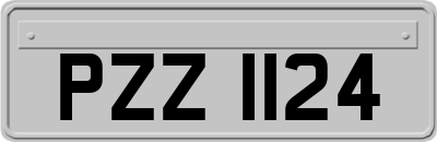 PZZ1124