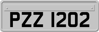 PZZ1202