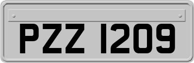 PZZ1209