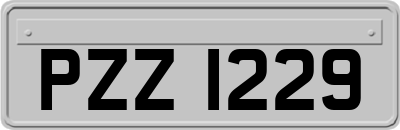 PZZ1229