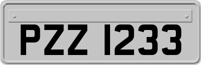 PZZ1233