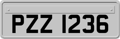 PZZ1236