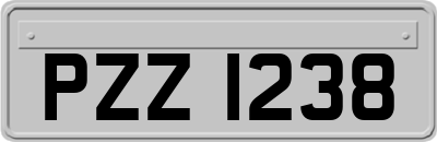 PZZ1238