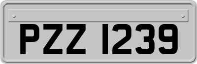 PZZ1239