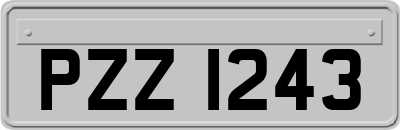 PZZ1243