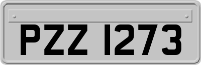 PZZ1273