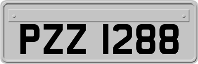 PZZ1288