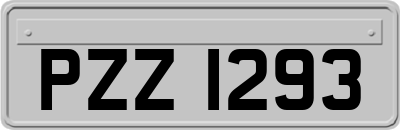 PZZ1293