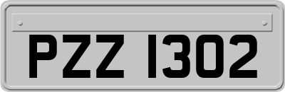 PZZ1302