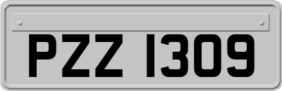 PZZ1309