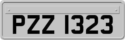 PZZ1323