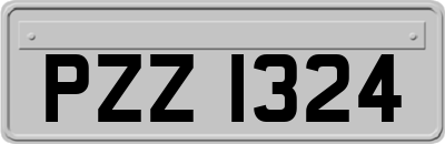 PZZ1324