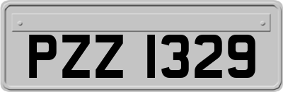 PZZ1329