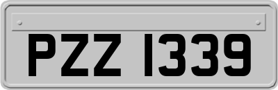 PZZ1339