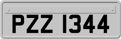 PZZ1344