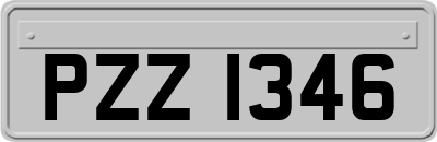 PZZ1346