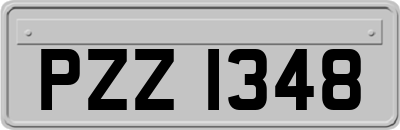 PZZ1348