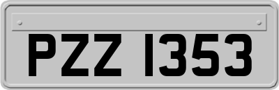 PZZ1353