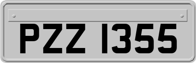 PZZ1355