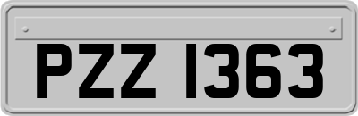 PZZ1363