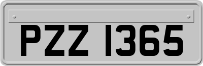 PZZ1365